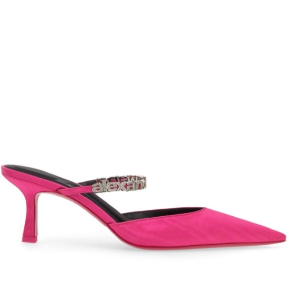 ▪️NIB Alexander Wang Delphine 65mm embellished mules - Picture 5 of 12